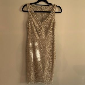 Beautiful new BCBG dress